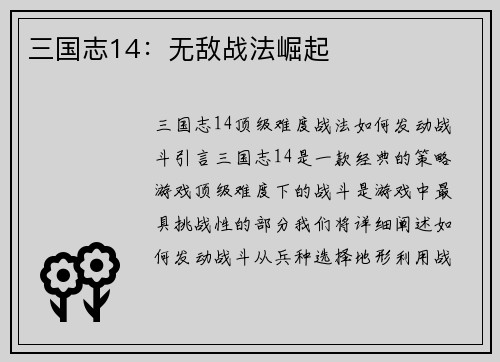 三国志14：无敌战法崛起