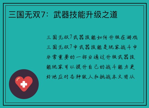 三国无双7：武器技能升级之道